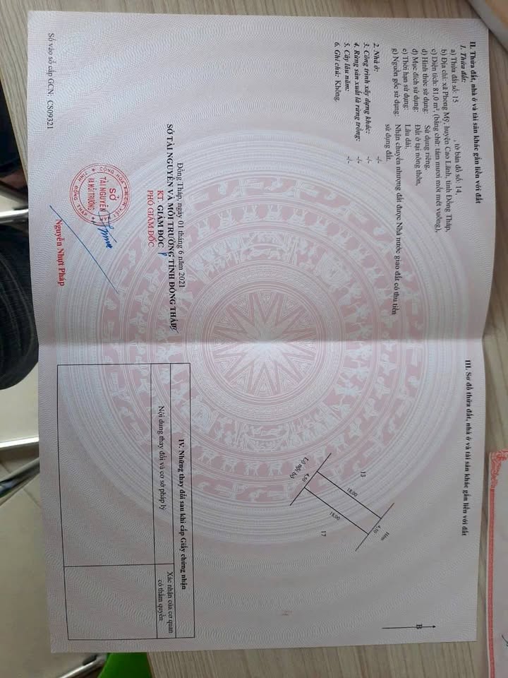 Đất nền Khu Dân Cư Phong Mỹ 1, 81m² giá 600 triệu - Cơ hội đầu tư hấp dẫn!