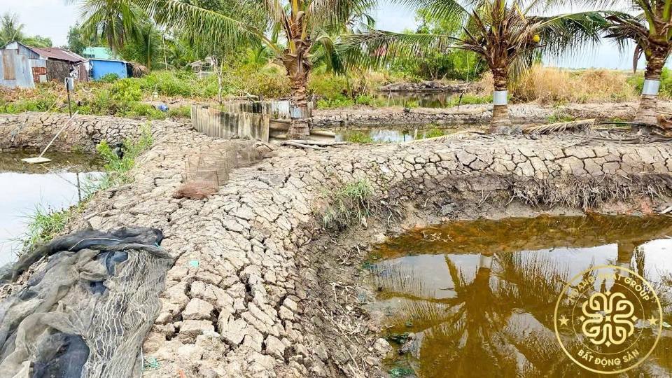 Đất nền Hồ Thị Kỷ, Cà Mau 500m² giá chỉ 5 tỷ - Sổ hồng đầy đủ!