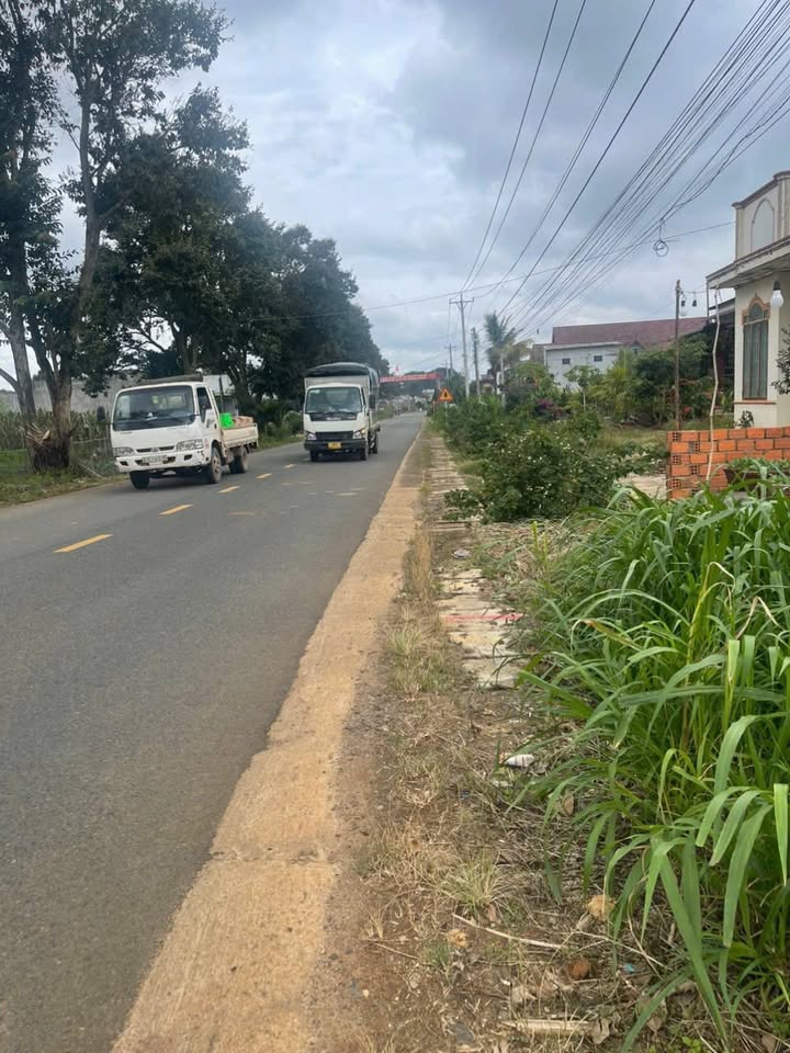 Đất nền dự án đường nhựa Quảng Lập Đơn Dương 960m² - Sổ đỏ chính chủ, giá tốt!