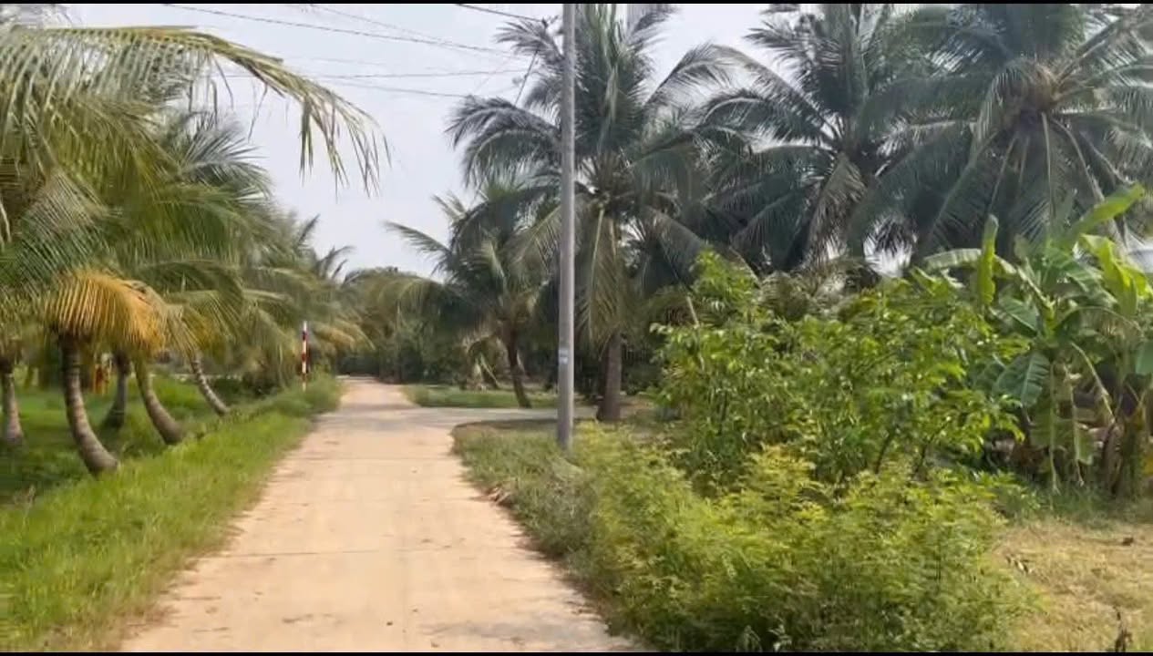 Đất thổ cư 1534m² tại Bình Hòa Bắc, Đức Huệ chỉ 2.6 tỷ - Đầu tư sinh lời cao!