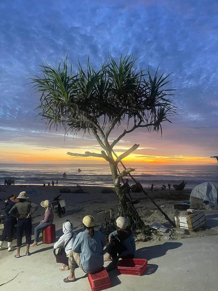 Đất nền biển Bình Hải, Thăng Bình 400m² giá 3 tỷ - Vị trí đắc địa gần biển!