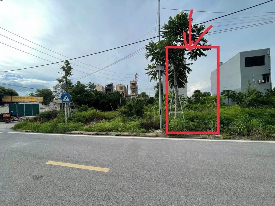 Đất nền TDP Mỹ Cầu Bắc Giang 86m² giá 4 tỷ - Đối diện Trung tâm kiểm soát bệnh tật!