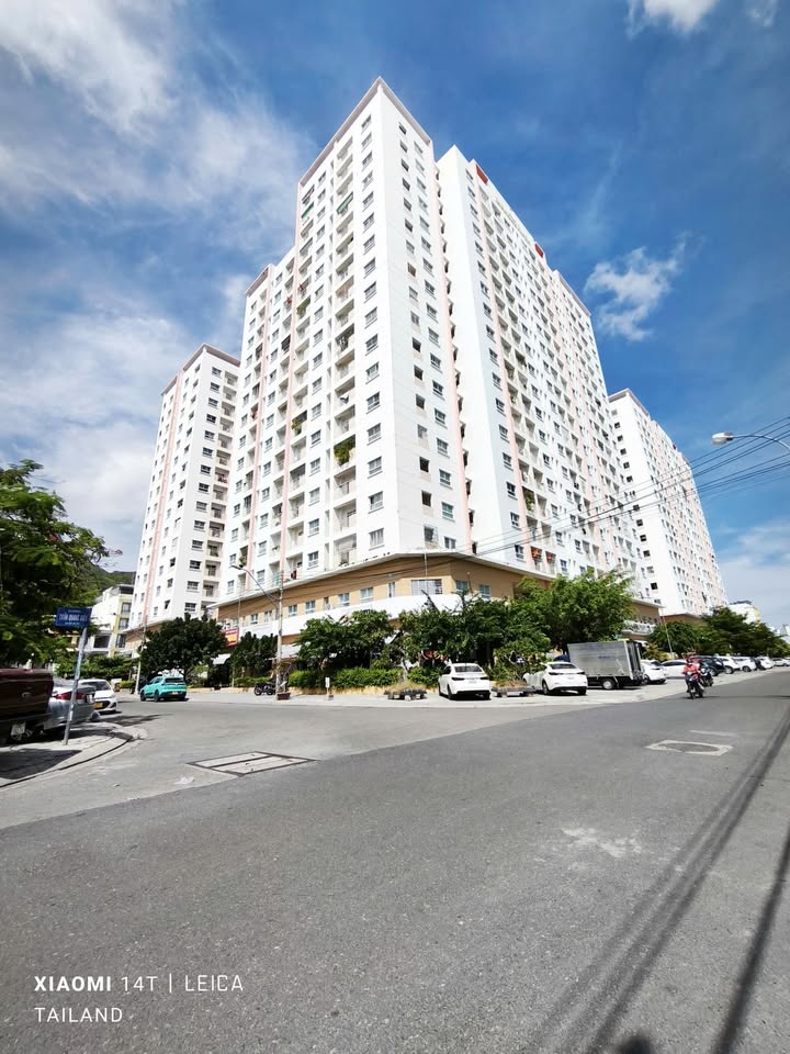 Đất nền Trần Quang Diệu Nha Trang 100m² giá 3.7 tỷ - Vị trí đắc địa gần biển!