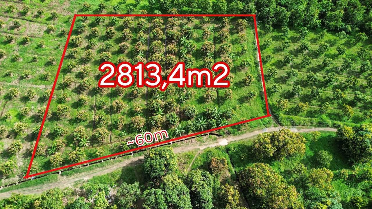 Đất nền Cam Lâm 2813m² giá 1.35 tỷ - Pháp lý rõ ràng, đầu tư sinh lời!