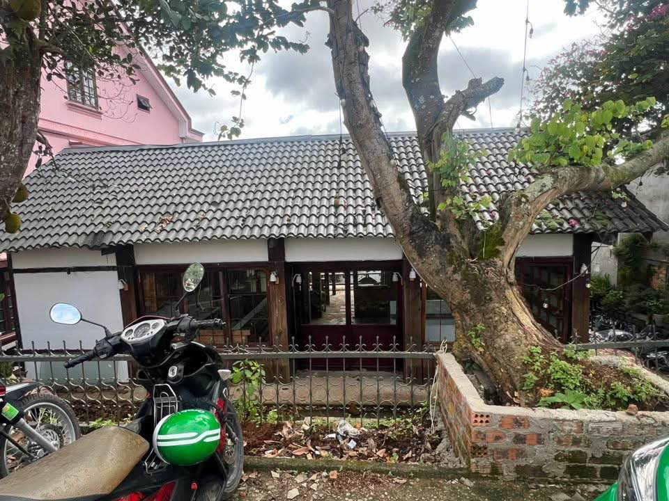 Cho thuê mặt bằng Phạm Ngọc Thạch Đà Lạt 600m² - Đối diện nhà thờ Domaine!