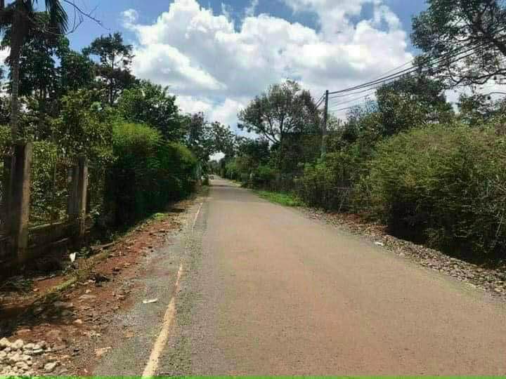 Đất mặt tiền đường Mậu Thân, Tân Hòa 125m² giá 1.65 tỷ - Cơ hội đầu tư tuyệt vời!