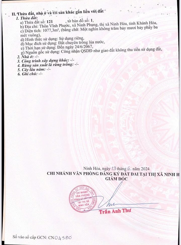 Đất thổ cư Ninh Phụng, Ninh Hòa 1077m² giá 3 tỷ - Đầu tư sinh lời ngay!