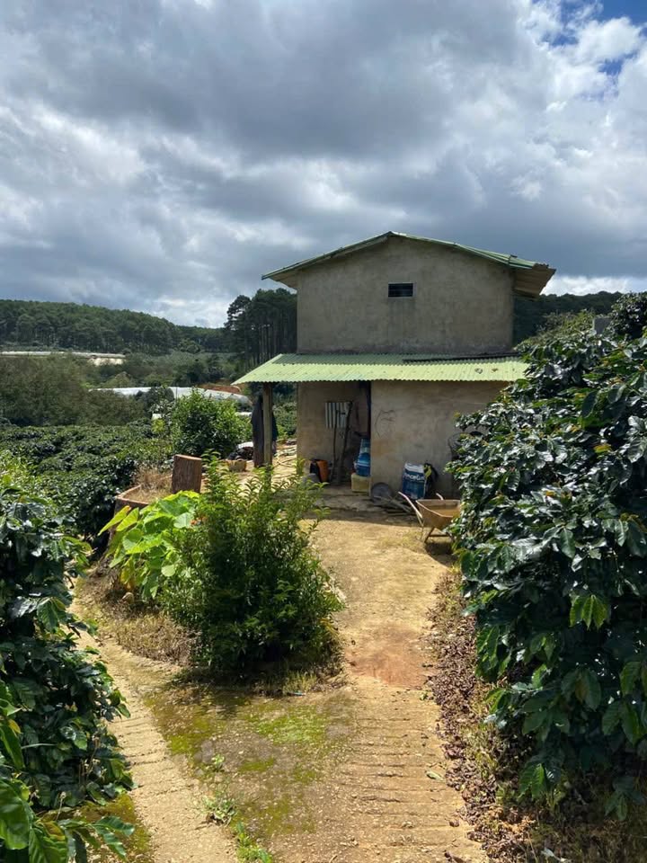 Đất nông nghiệp phường Xuân Trường Đà Lạt 8628m² - Tiềm năng canh tác cà phê và bơ!