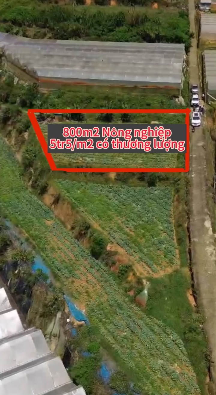 Đất nền 800m² 2 mặt tiền ô tô tại khu dân cư Quảng Thừa, Đà Lạt - Giá chỉ 4.4 tỷ!