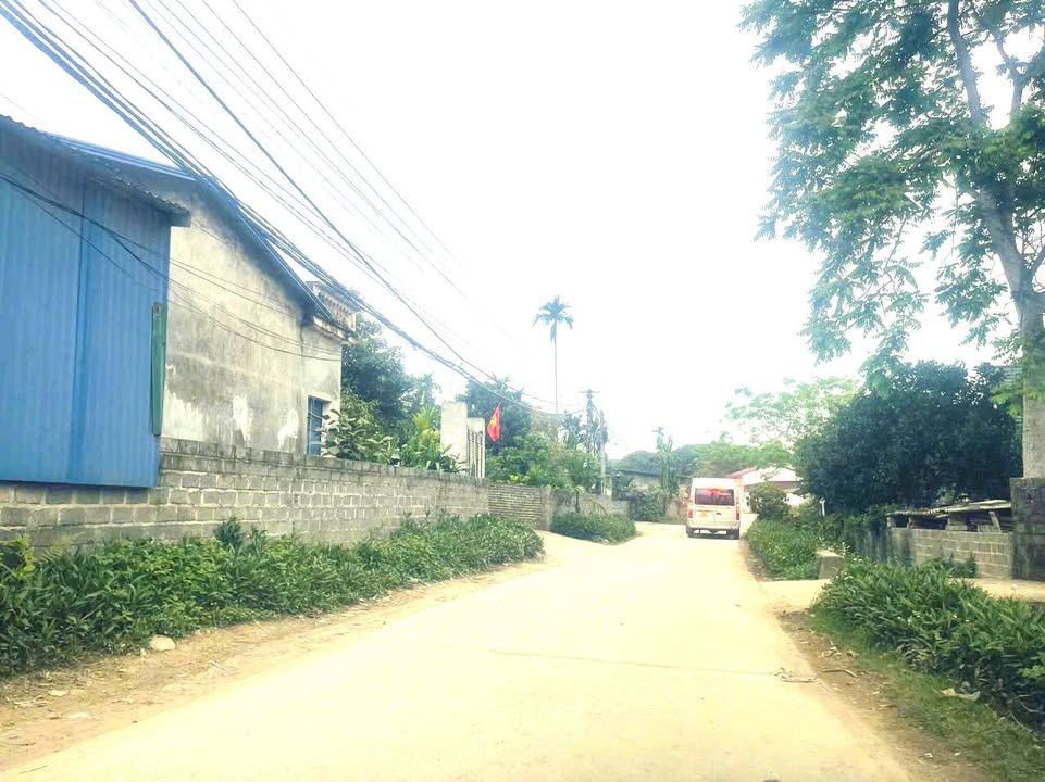 Đất nền Cư Yên Lương Sơn 310m² giá 2 tỷ - Sổ đỏ chính chủ, đầu tư siêu lợi nhuận!