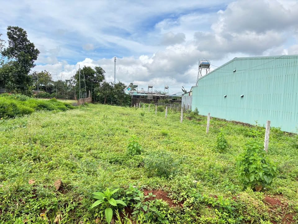 Đất nền thổ cư Pleiku 529m² giá 2 tỷ - Hướng Đông, sổ hồng chính chủ!