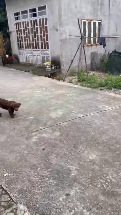 Nhà riêng Tân Định Bến Cát 100m² giá 1.4 tỷ - Cơ hội sở hữu duy nhất!