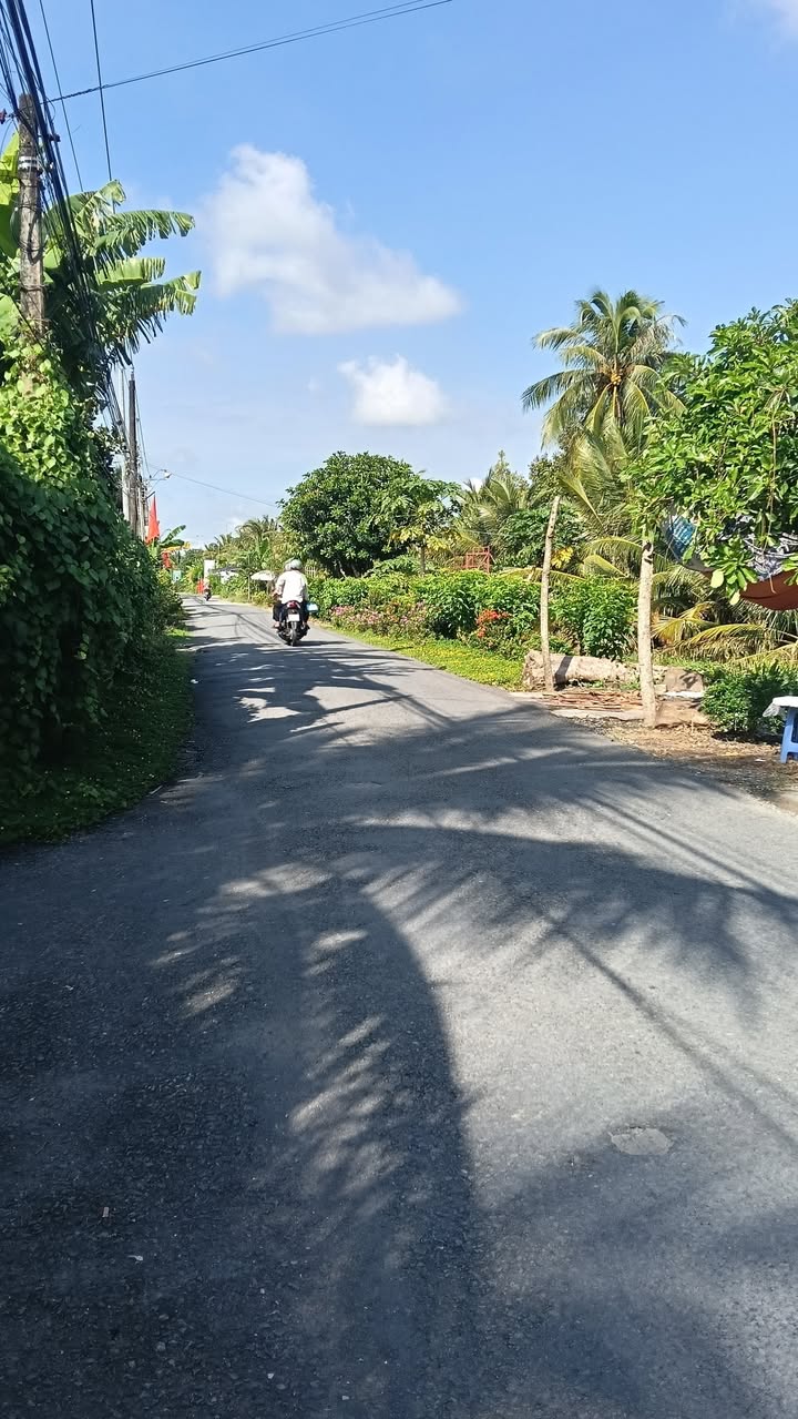 Đất nền Phường Thanh Hoà, Cai Lậy 210m² giá 850 triệu - Đầu tư sinh lời ngay!