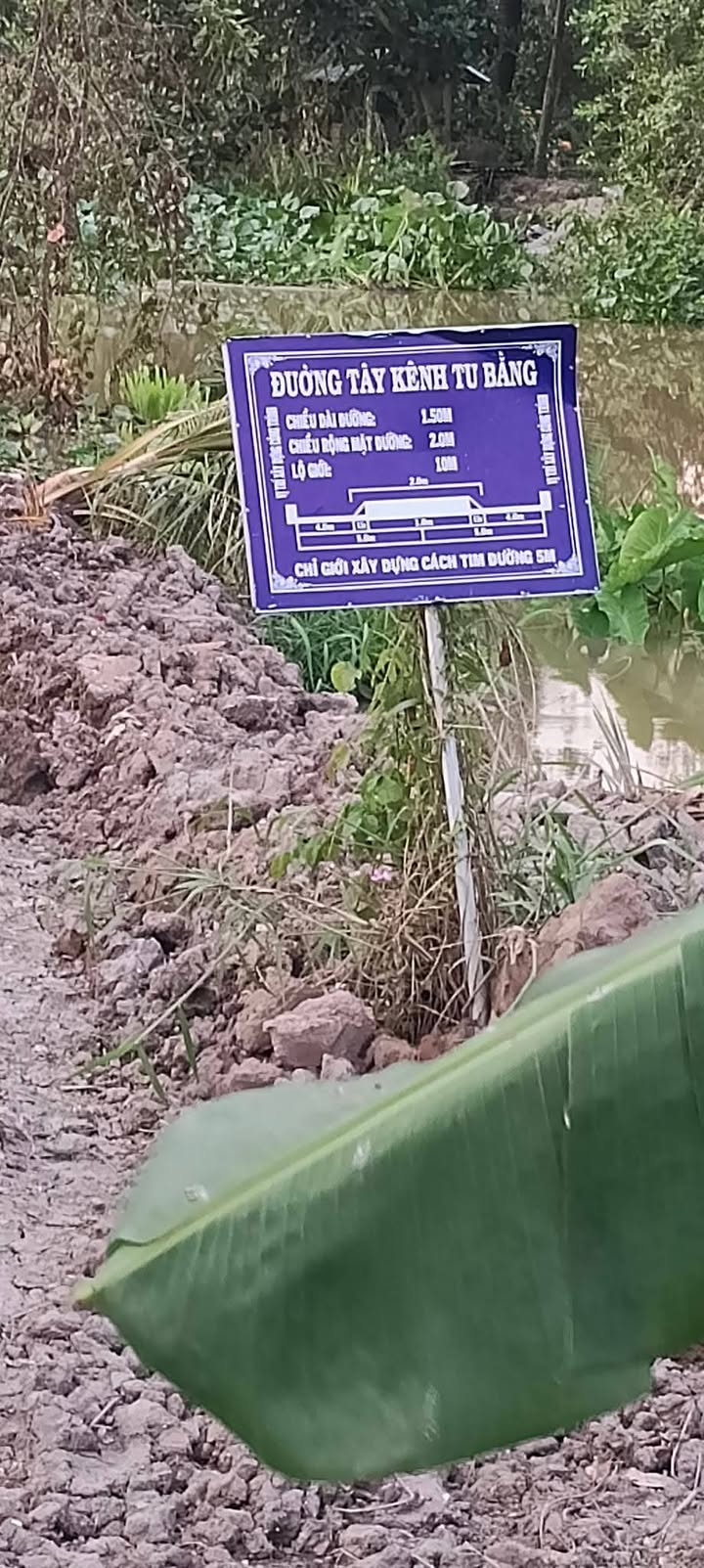 Đất nông nghiệp 10 công xã Mỹ Tân, Cái Bè giá 4.1 tỷ - Cơ hội đầu tư hấp dẫn!