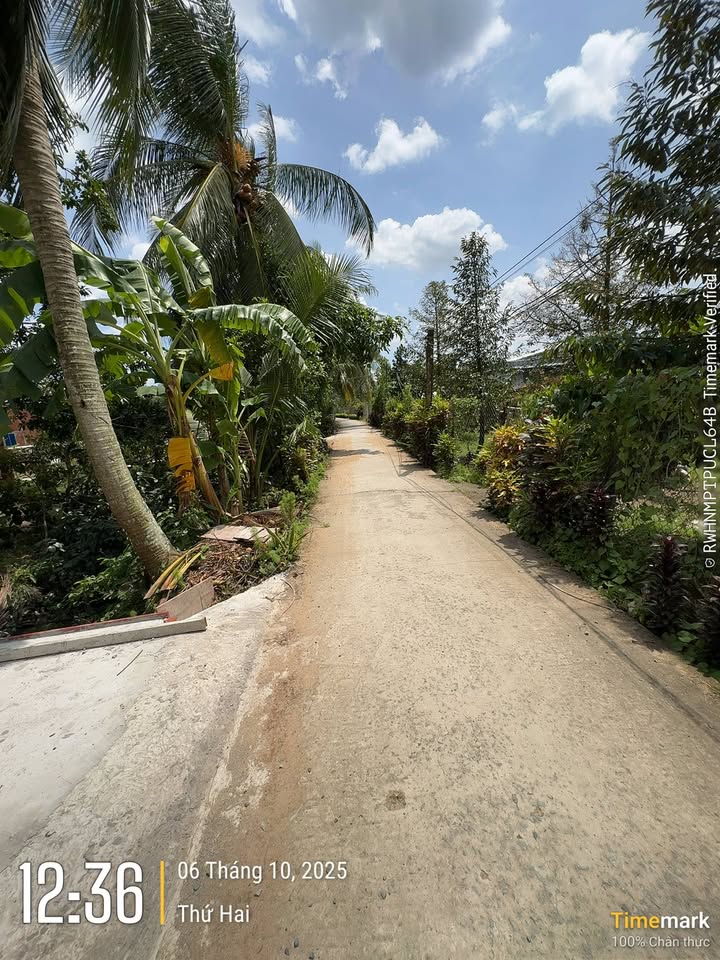 Đất nền Long Khánh 125m² giá 450 triệu - Cơ hội đầu tư sinh lời!