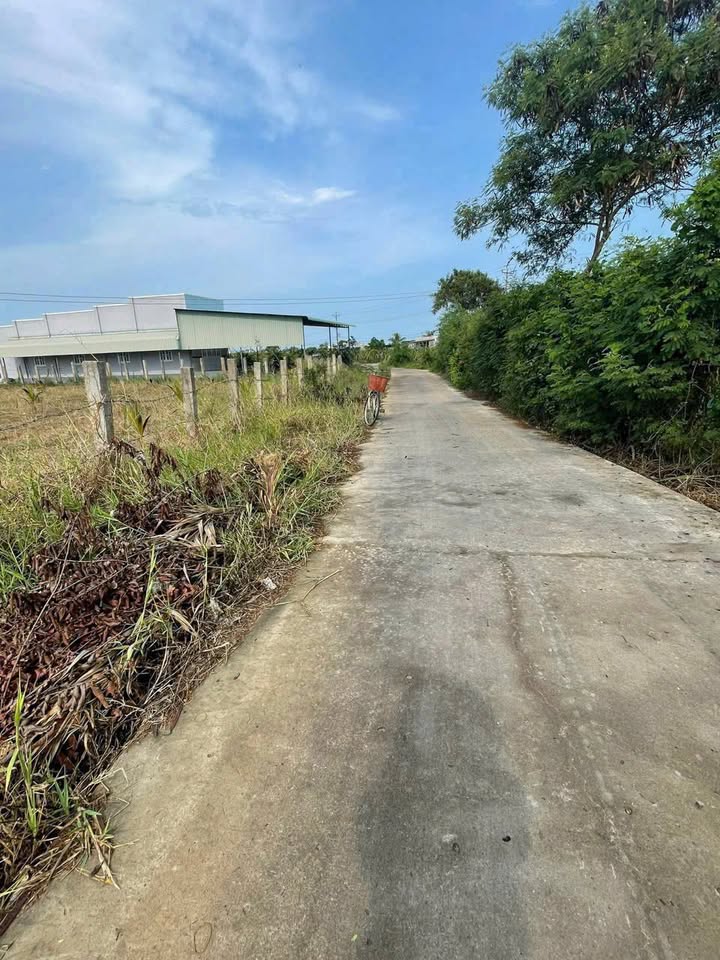 Đất thổ cư Hàm Hiệp 500m² giá thỏa thuận - Đường bê tông 4m, vị trí đẹp!