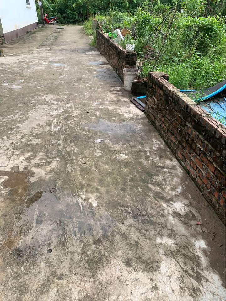 Đất đấu giá Kim Sơn, Gia Lâm 78m² giá nhỉnh 5 tỷ - Lô góc siêu thoáng, ô tô đỗ cửa!