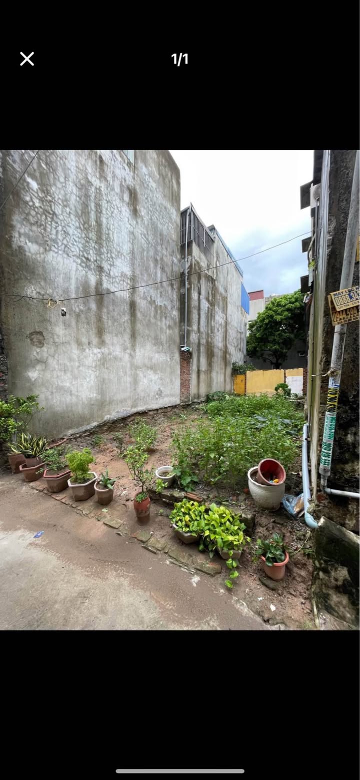 Đất nền Trần Thái Tông, 50m² giá 1.43 tỷ - Đầu tư sinh lời ngay!