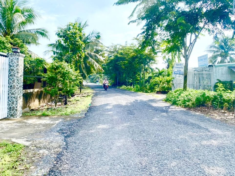 Bán đất mặt tiền đường huyện 87, TP Mỹ Tho 120m² giá 1.25 tỷ - Vị trí kinh doanh sầm uất!