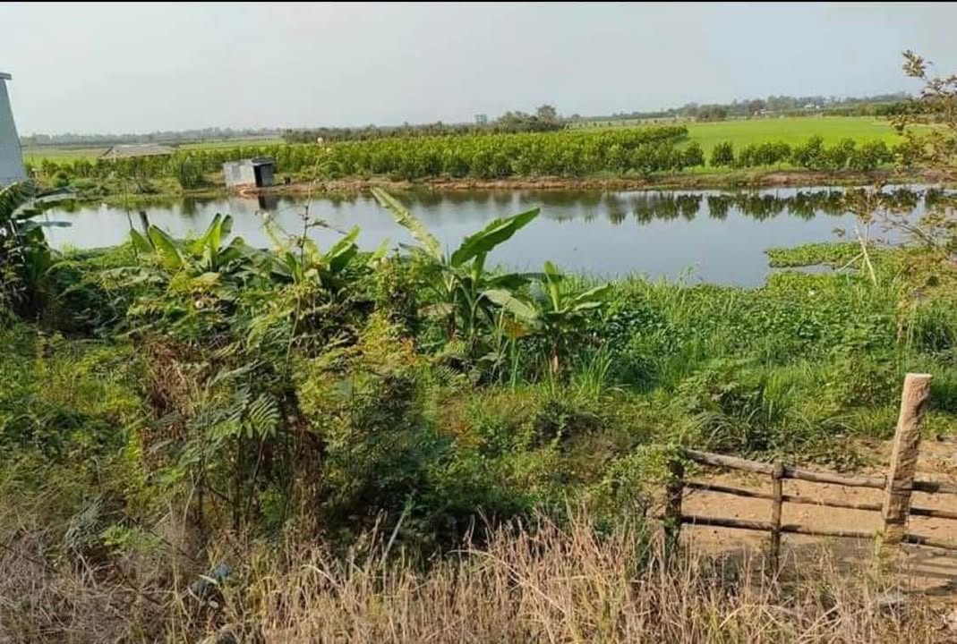 Đất nền mặt tiền đường Lê Hồng Phong, Vĩnh Tế 75m² giá 435 triệu - Giao thông thuận lợi!