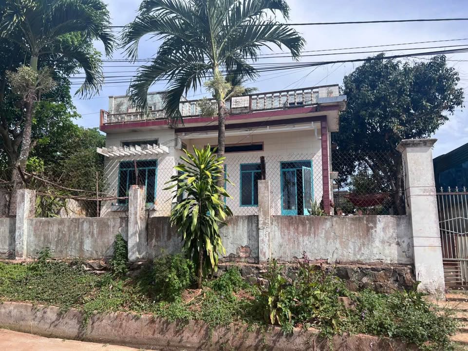 Nhà nguyên căn cho thuê tại phường Tân Lập, TP. Buôn Ma Thuột - Giá chỉ 3 triệu/tháng!