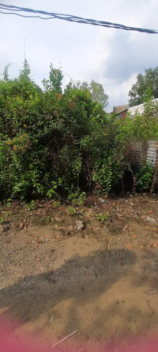 Đất nền 130m² tại ấp 3 Long Thọ, Nhơn Trạch - Giá chỉ 1.25 tỷ!