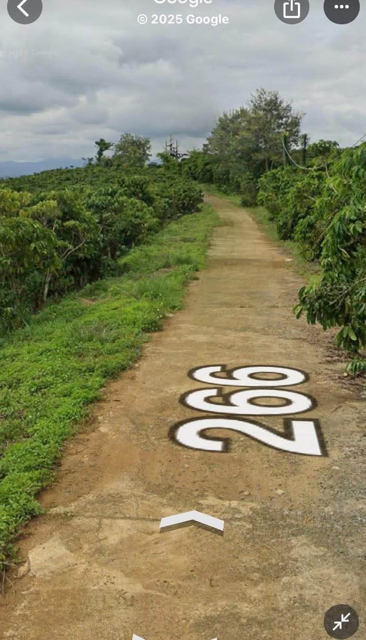 Đất nền Bảo Lộc 10.000m² - Giá tốt cho đầu tư sinh lời cao!