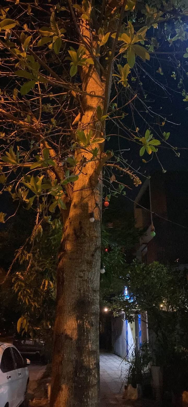 Nhà 3 tầng mặt tiền đường Thanh Hải, Đà Nẵng 69m² - Vị trí siêu trung tâm, an ninh tốt!