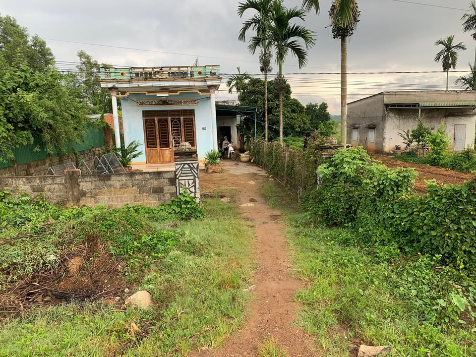 Lô đất Farm Hòa Thành, Krông Bông 720m² giá 1.7 tỷ - Đầu tư sinh lời ngay!