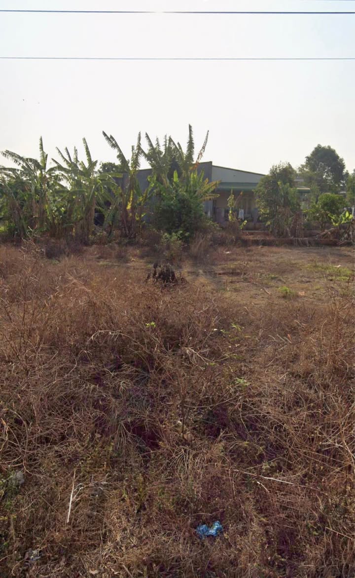 Đất nền thổ cư Cư Êbur 100m² giá 1.35 tỷ - Pháp lý rõ ràng, sẵn sàng xây dựng!