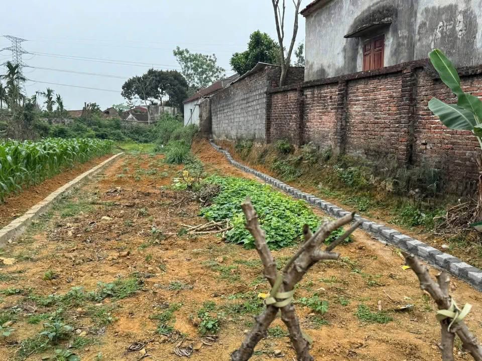 Đất nền Phú Cát Quốc Oai 135m² giá 1.7 tỷ - Cơ hội đầu tư tuyệt vời!