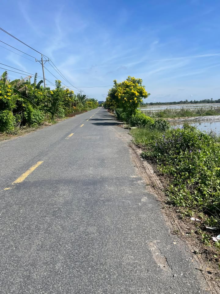 Đất nền mặt tiền đường Huyện 65, Cai Lậy 1344m² giá chỉ 130 triệu - Cơ hội đầu tư không thể bỏ qua!