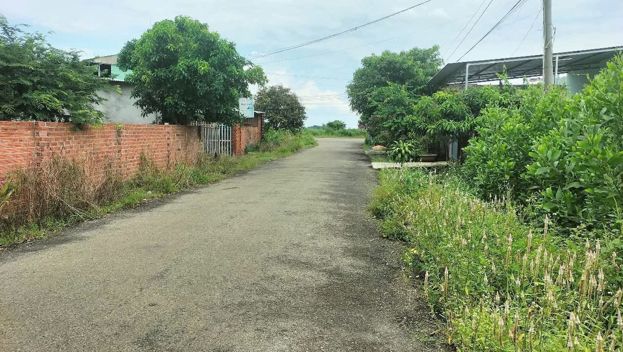 Đất nền Tân Thành, Phú Mỹ 165m² giá chỉ 850 triệu - Cơ hội đầu tư tuyệt vời!