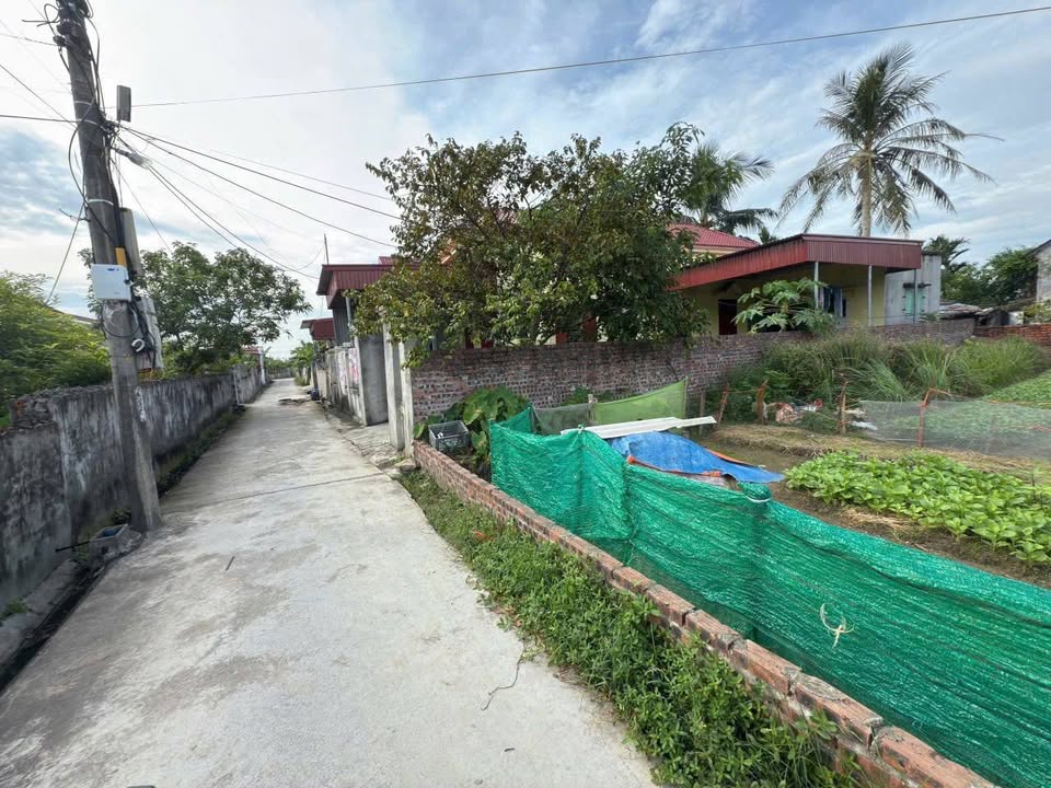 Đất nền Tân Phong, Kiến Thụy 96m² giá 1.1 tỷ - Mặt đường rộng, thích hợp đầu tư