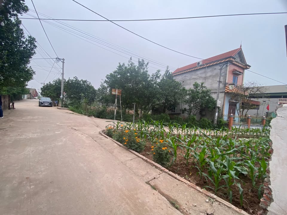 Đất lô góc Trung Châu, Đan Phượng 54m² giá 2.16 tỷ - Đường ô tô thoải mái ra vào!