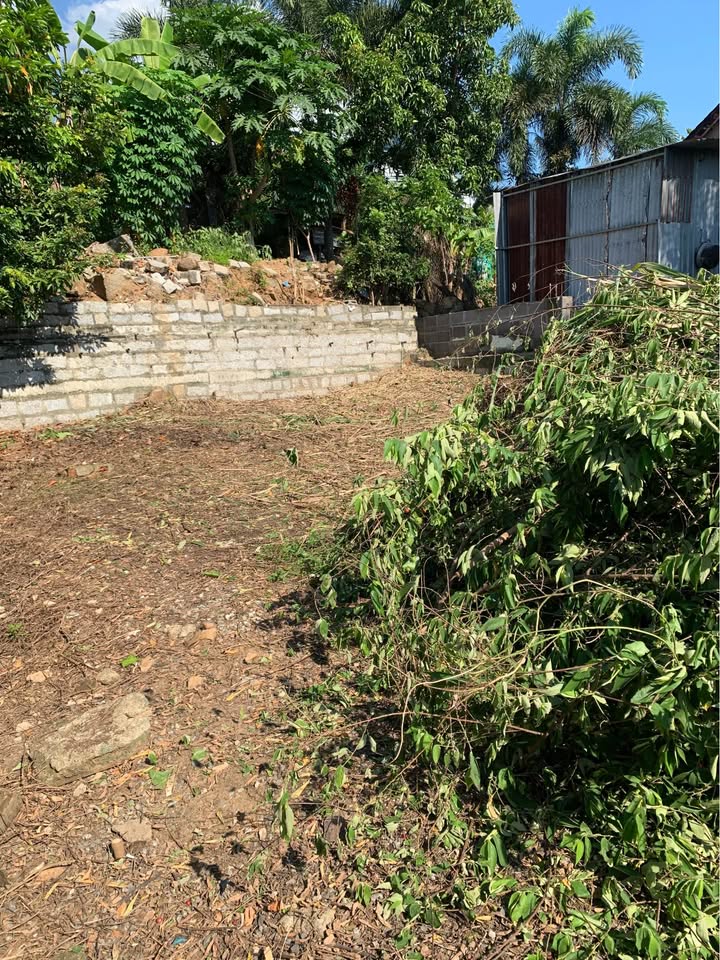 Đất thổ cư 150m² tại Đắc Lộc 1, Nha Trang chỉ 1.3 tỷ - Cơ hội đầu tư lý tưởng!