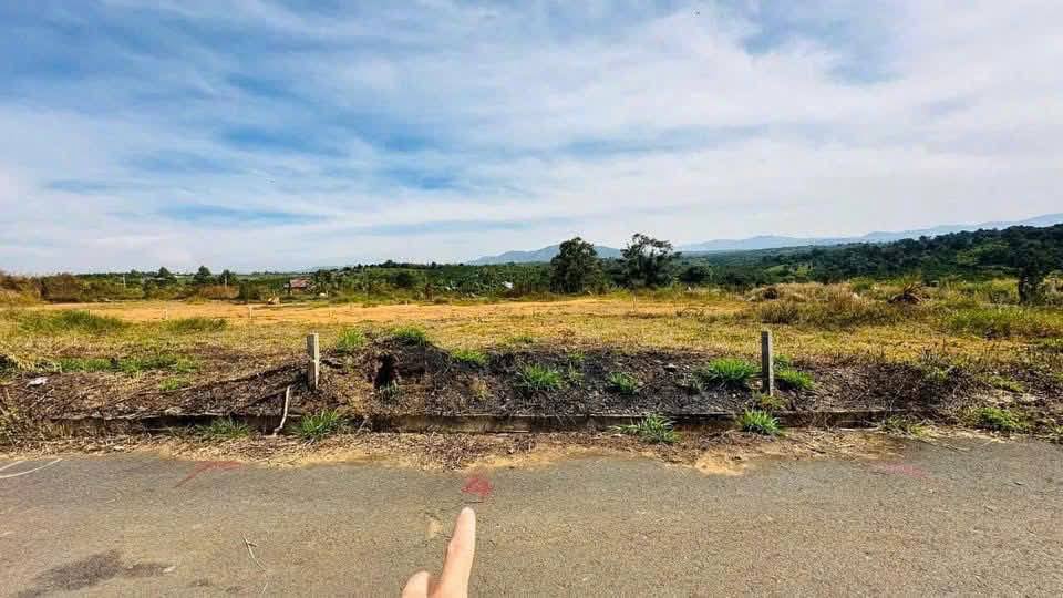 Đất thổ cư Lộc An, Long Thành 176.79m² chỉ 650 triệu - Cơ hội đầu tư sinh lời!