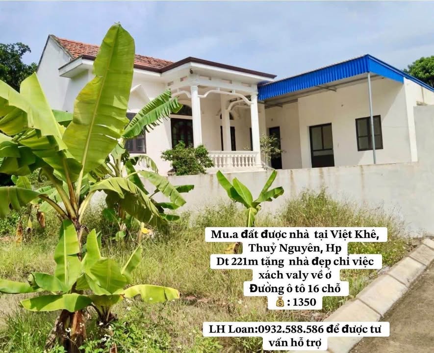 Đất nền tại xã Việt Khê, Thủy Nguyên, Hải Phòng 221m² - Giá chỉ 1.35 tỷ!