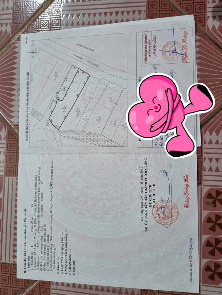 Nhà cấp 4 Hạ Long 175m² giá 3.2 tỷ - Mặt tiền 8.5m, hướng Đông Nam!