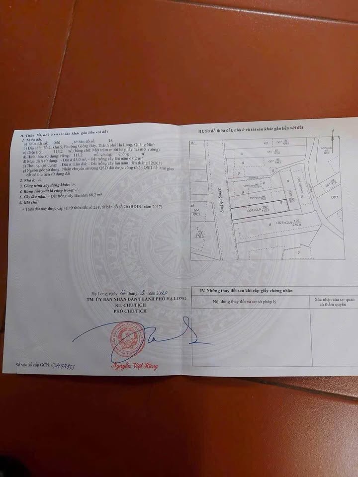 Đất nền tại phường Việt Hưng, Hạ Long 113,2m² - Kinh doanh sầm uất!