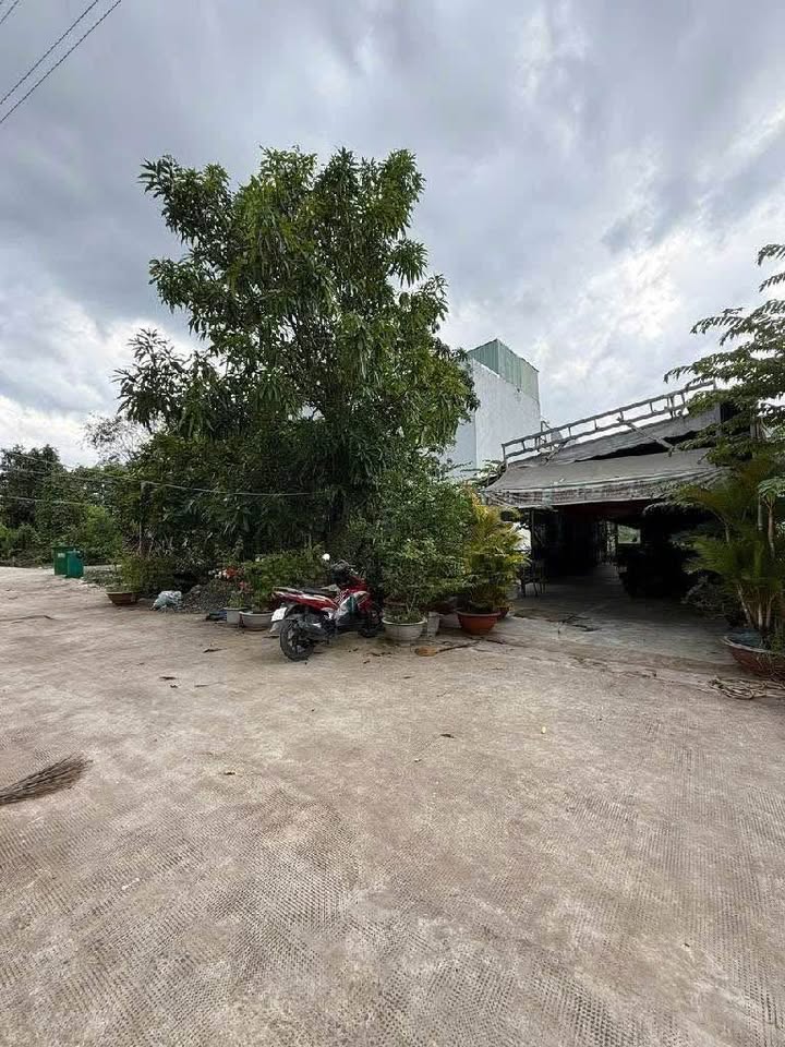 Đất nền Phước Kiển Nhà Bè 477m² giá 13.5 tỷ - Phù hợp xây biệt thự sân vườn