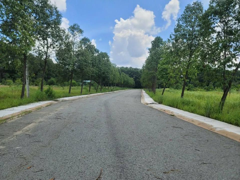 Lô đất mặt tiền đường nhựa Thới Hòa, Bến Cát 150m² giá 1 tỷ - Đầu tư sinh lời ngay!