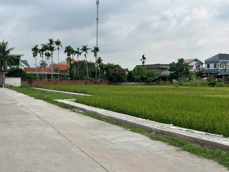 Đất xây dựng 160m² tại Yên Lãng, Yên Thọ - Giá tốt, đầu tư sinh lời!