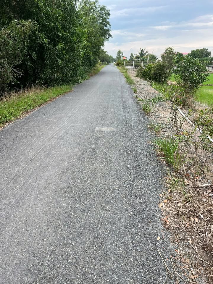 Đất lúa 1097m² chính chủ tại Tân Đông, Long An - Giá 1.5 tỷ, thương lượng!