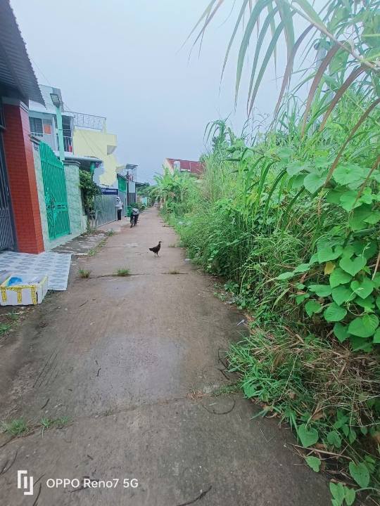 Đất nền Cao Lãnh 168m² giá 1.1 tỷ - Vị trí thuận lợi gần chợ và trường học!