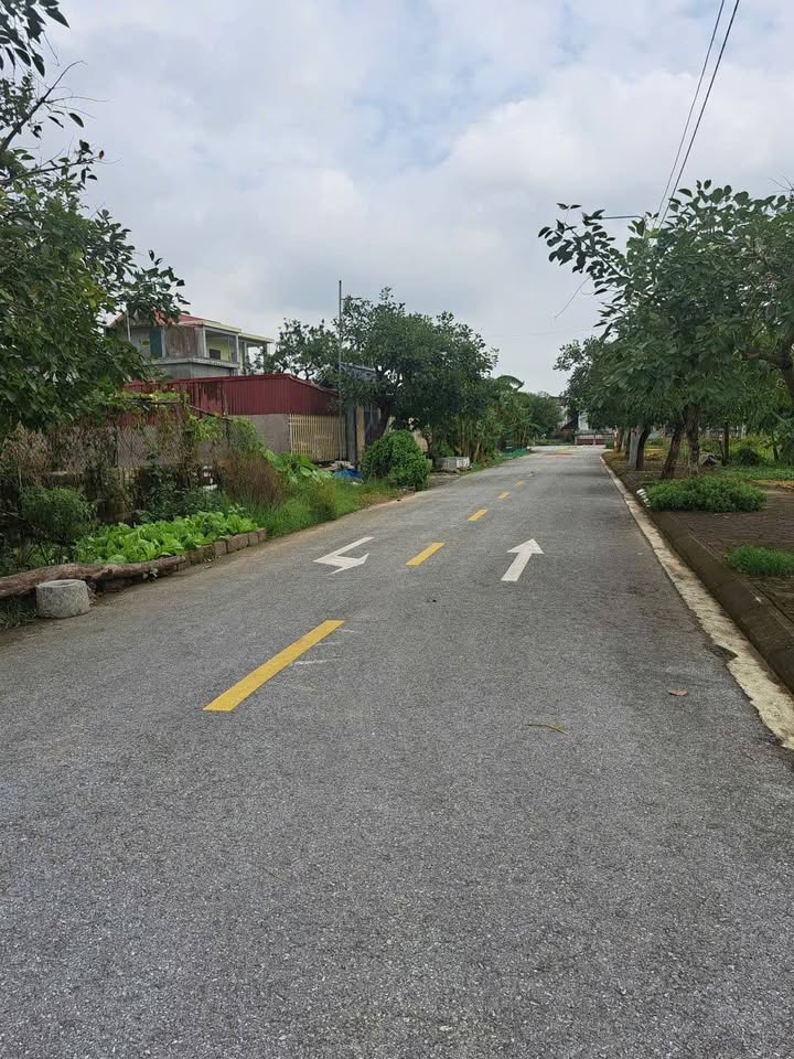 Lô đất 110m² tại xã Yên Thọ, Ý Yên - Giá chỉ 1.2 tỷ - Đối diện khu đấu giá!