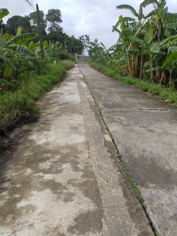 Đất nền An Nhân Ý Yên 147m² giá 800 triệu - Sổ đỏ chính chủ, ô tô vào tận nơi!