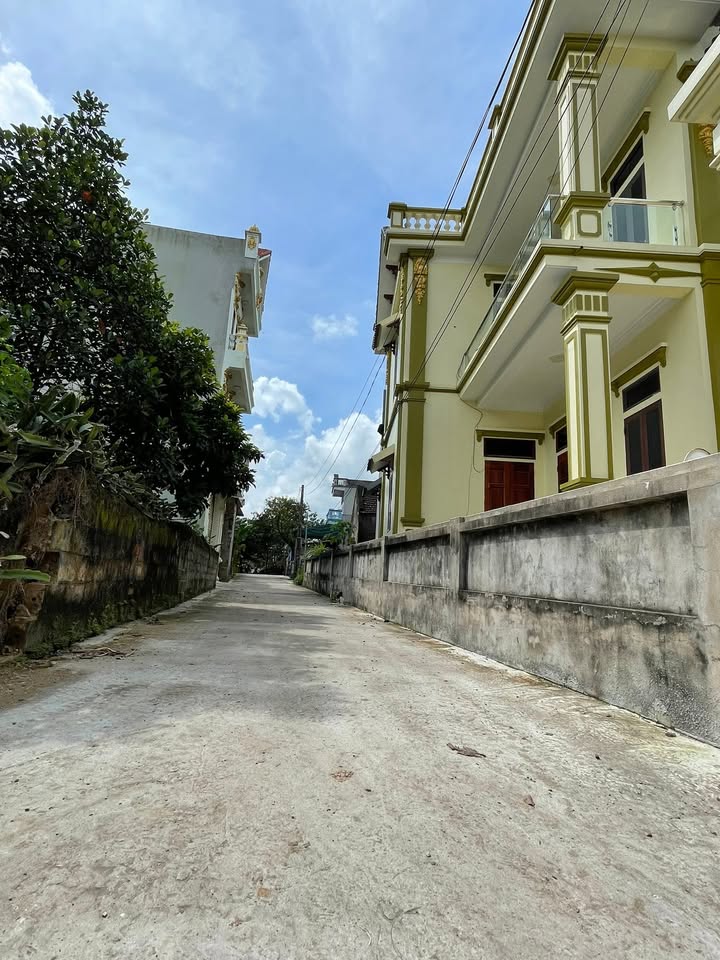 Đất nền đẹp tại Đường Thành Xá, Ý Yên, 168m² - Cơ hội đầu tư tuyệt vời!