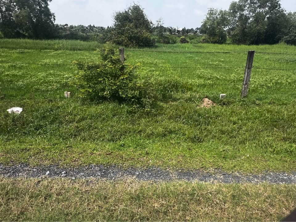 Đất nền ấp Tràm Lạc, Đức Hòa 180m² giá 1.05 tỷ - Cơ hội đầu tư sinh lời!