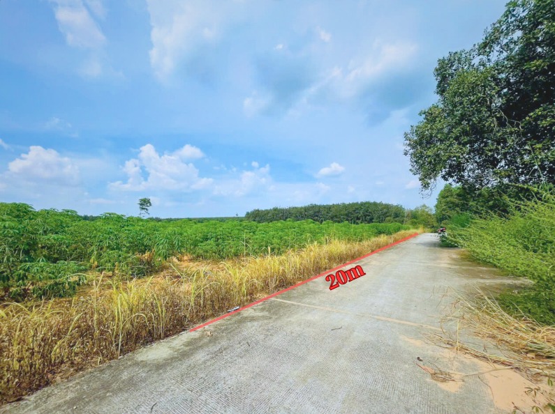 Đất nền Tân Hiệp Long Thành 1.000m² giá 6 tỷ - Cơ hội đầu tư sinh lời nhanh!